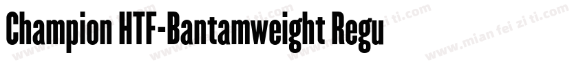 Champion HTF-Bantamweight Regular字体转换